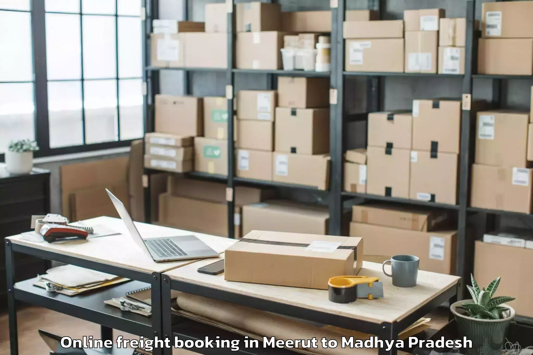 Top Meerut to Barnagar Online Freight Booking Available